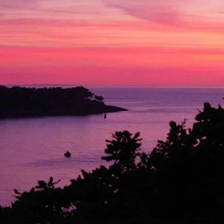 Holiday home Juliette, Vue Mer, Acces Plages A Pieds